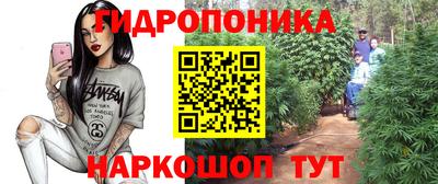 ГАЛЛЮЦИНОГЕННЫЕ ГРИБЫ Кимры