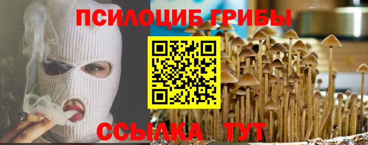 Галлюциногенные грибы мухоморы Коммунар